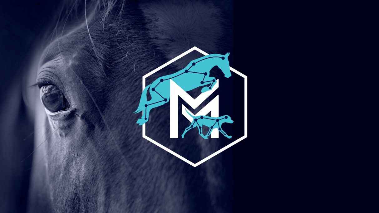 Maddy McIntosh Veterinary Physio brand