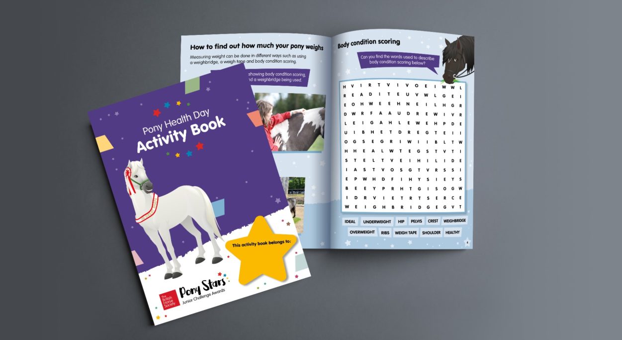 BHS Pony Stars Activity Book design